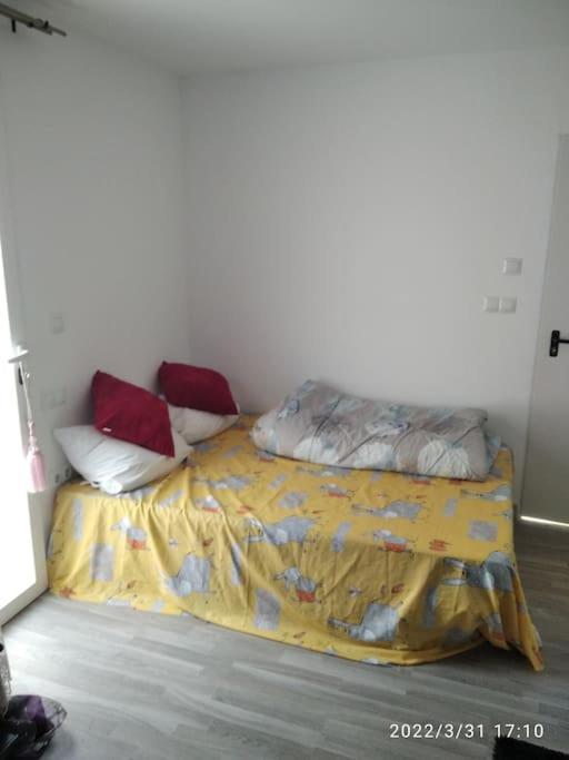 Apartmán Buhardilla Con Terraza Elche Exteriér fotografie